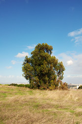 Similar image 360109