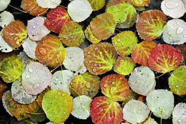 Similar image 360131