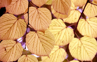 Similar image 360160