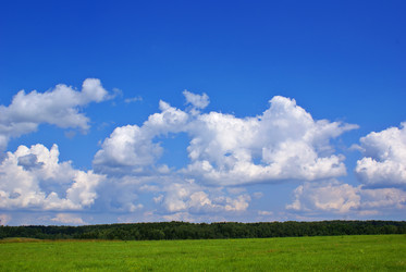 Similar image 360194