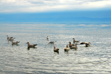 Similar image 360256