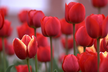 Similar image 360265