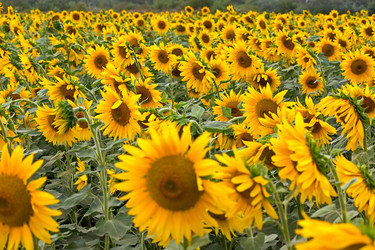 Similar image 360322