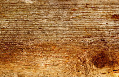 Similar image 360361