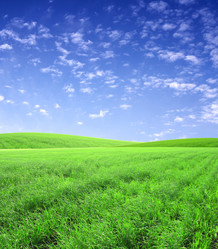 Similar image 360573