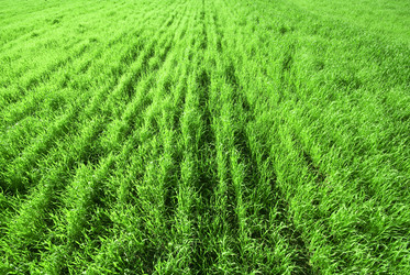 Similar image 360592