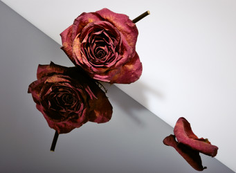 Similar image 360593