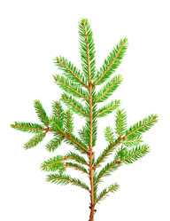 Similar image 360630