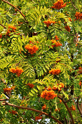 Similar image 360633