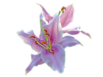 Similar image 360640