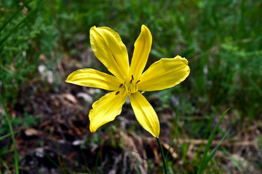 Similar image 360641