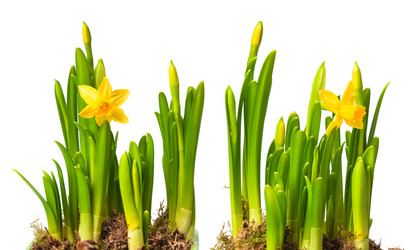 Similar image 360656