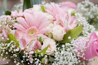 Similar image 360658