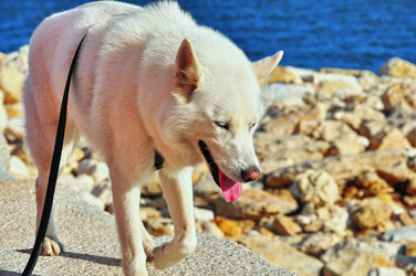 Similar image 360659