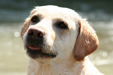 Similar image 360666