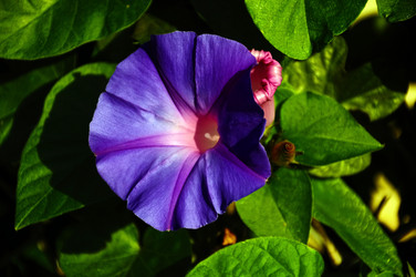 Similar image 360674