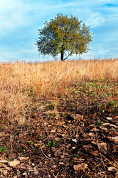 Similar image 360688