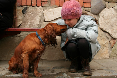 Similar image 360690