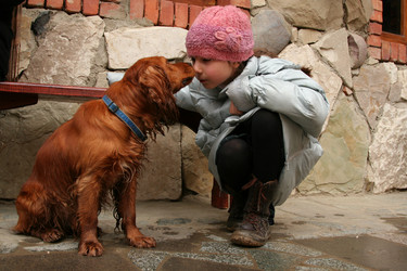 Similar image 360697