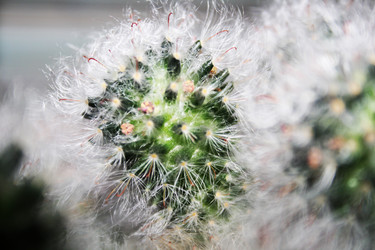 Similar image 360712