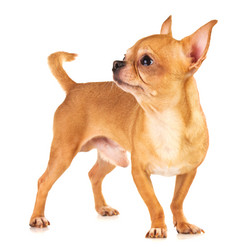 Similar image 360715