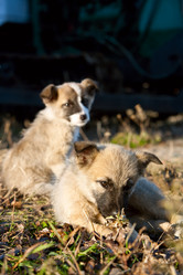 Similar image 360719