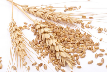 Similar image 360762