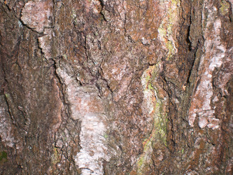 Similar image 360796