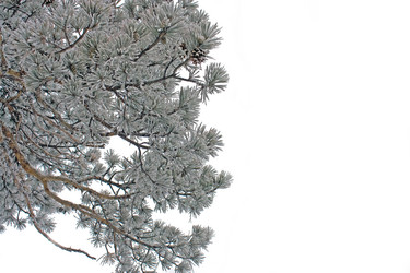 Similar image 360806