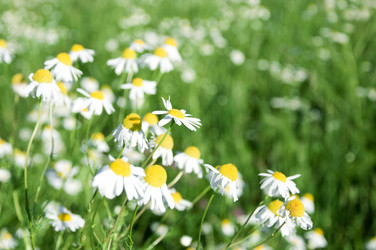 Similar image 360826