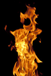 Similar image 360882