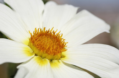 Similar image 360884