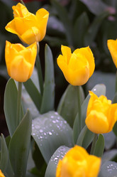 Similar image 360906