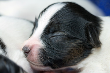 Similar image 360956