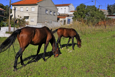 Similar image 360978