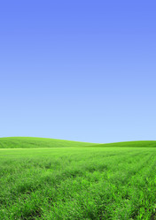 Similar image 361001