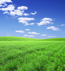 Similar image 361002