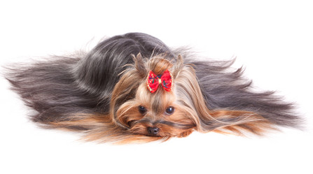 Similar image 361025