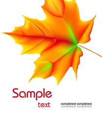 Similar image 361044