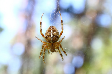 Similar image 361102