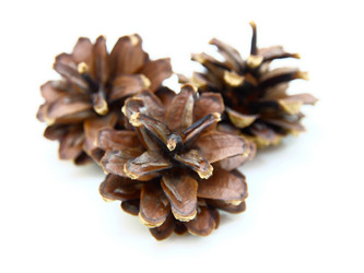 Similar image 361125