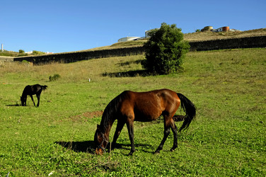 Similar image 361134