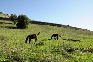 Similar image 361163