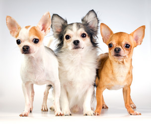 Similar image 361179