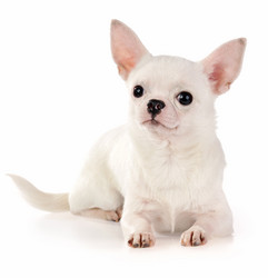 Similar image 361180