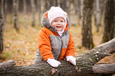 Similar image 361223