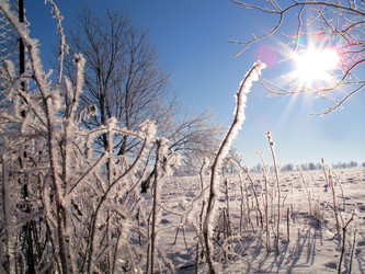 Similar image 361226