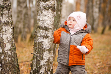 Similar image 361242