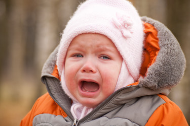 Similar image 361246