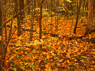 Similar image 361265